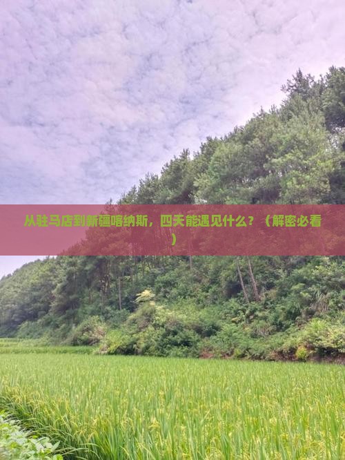驻马店到新疆喀纳斯四日游