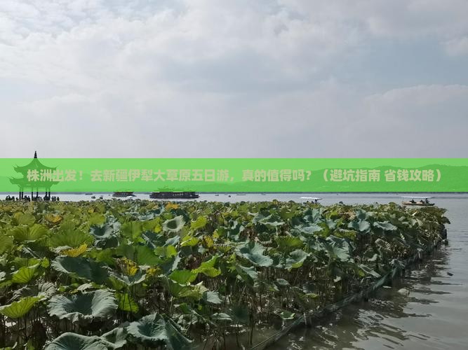 株洲去新疆伊犁大草原五日游