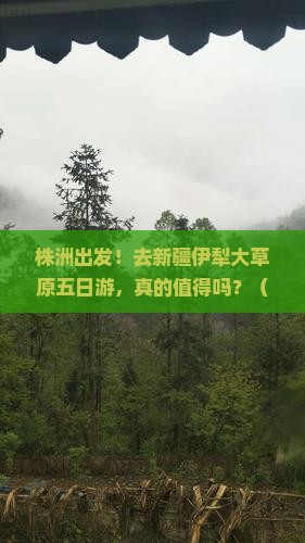 株洲去新疆伊犁大草原五日游