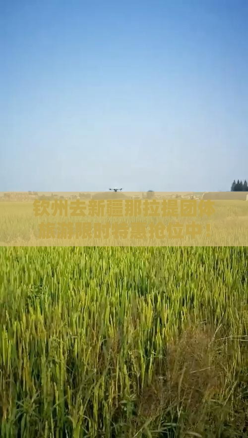 钦州去新疆那拉提团体旅游