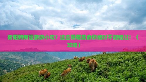 衡阳到新疆旅游小吃