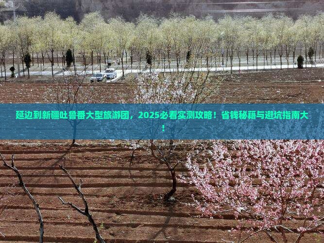 延边到新疆吐鲁番大型旅游团 延边到新疆吐鲁番大型旅游团