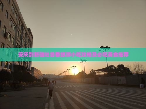 安庆到新疆吐鲁番旅游小吃