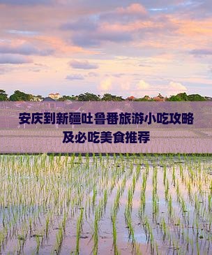 安庆到新疆吐鲁番旅游小吃