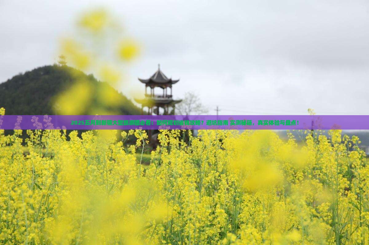 五月到新疆大型旅游团