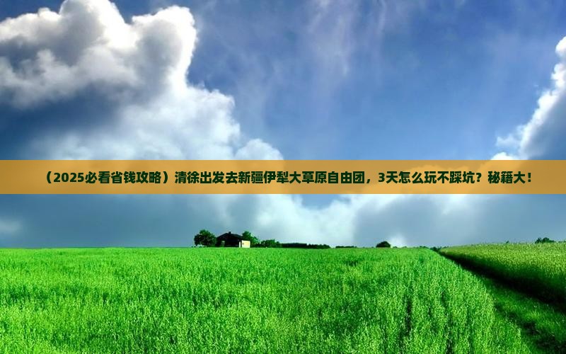 清徐去新疆伊犁大草原自由团