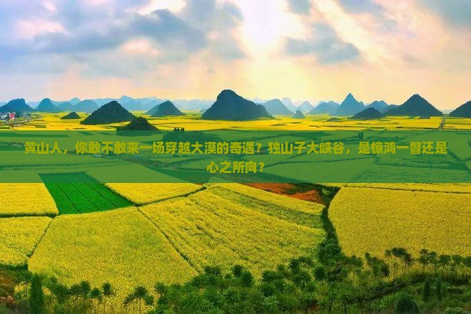 黄山去新疆独山子大峡谷景点