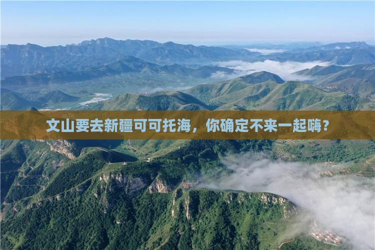文山去新疆可可托海攻略