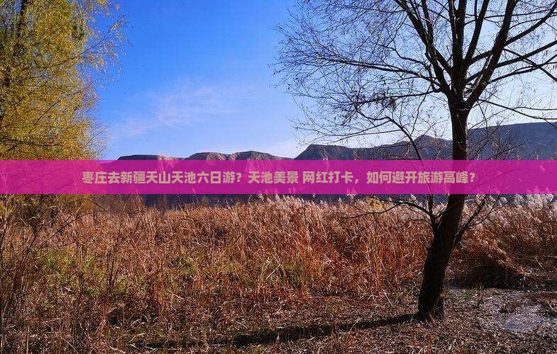 枣庄去新疆天山天池六日游