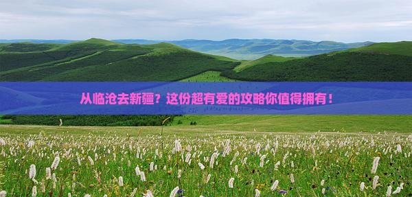 临沧到新疆攻略