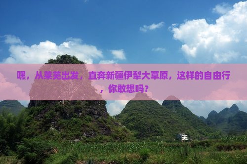 莱芜到新疆伊犁大草原自由行
