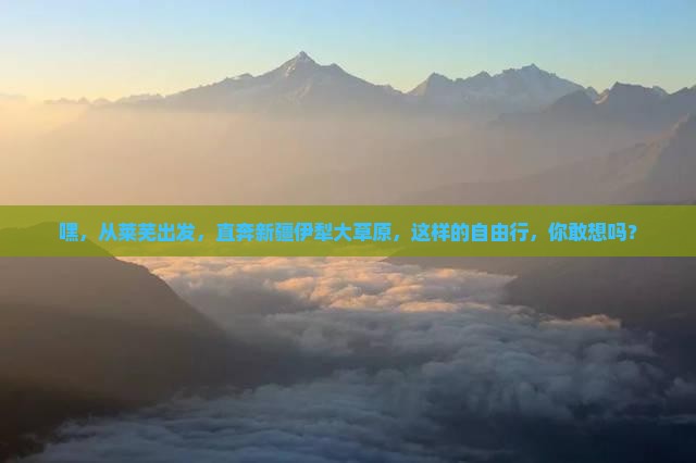 莱芜到新疆伊犁大草原自由行