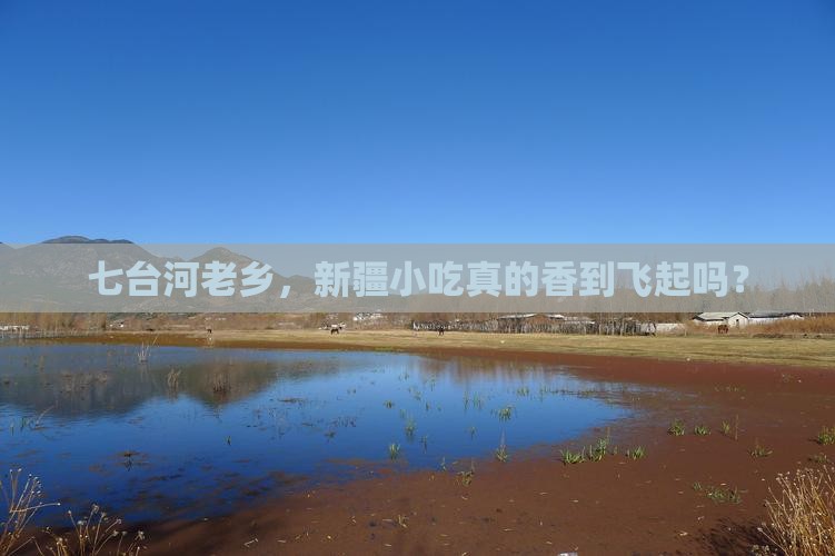 七台河去新疆旅游小吃