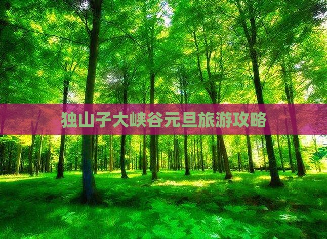 元旦去新疆独山子大峡谷攻略