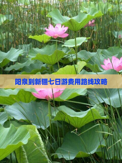 阳泉到新疆七日游 阳泉到新疆七日游