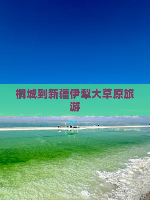 桐城到新疆伊犁大草原旅行社