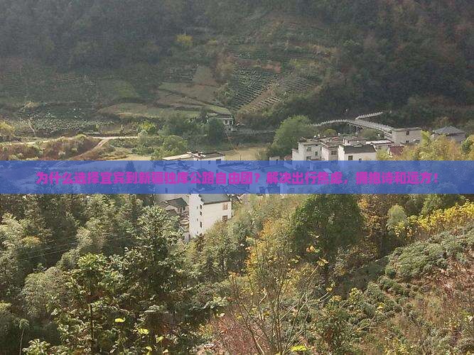 宜宾到新疆独库公路自由团