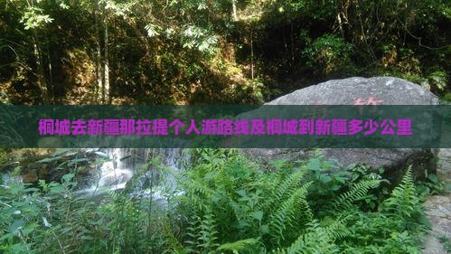 桐城去新疆那拉提个人游 桐城去新疆那拉提个人游