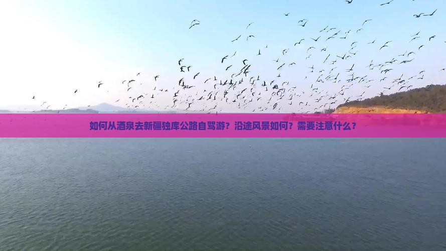 酒泉去新疆独库公路个人游