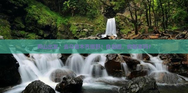 黄山去新疆乌鲁木齐自由团