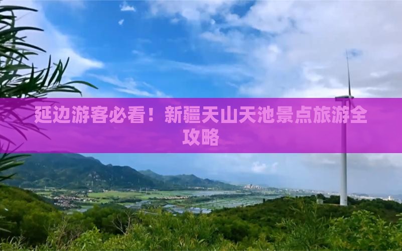 延边去新疆天山天池四日游
