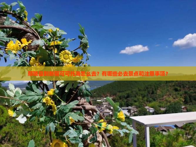鄢陵县到新疆可可托海哪里玩