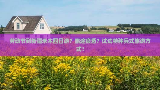 劳动节到新疆禾木四日游