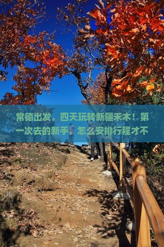 常德到新疆禾木四日游
