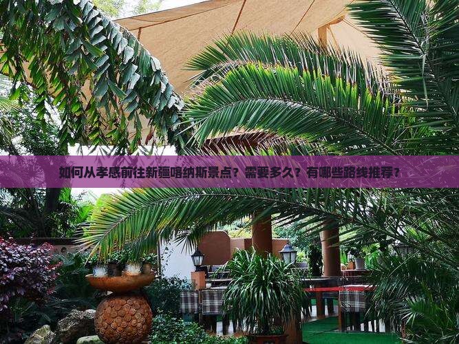 孝感去新疆喀纳斯景点