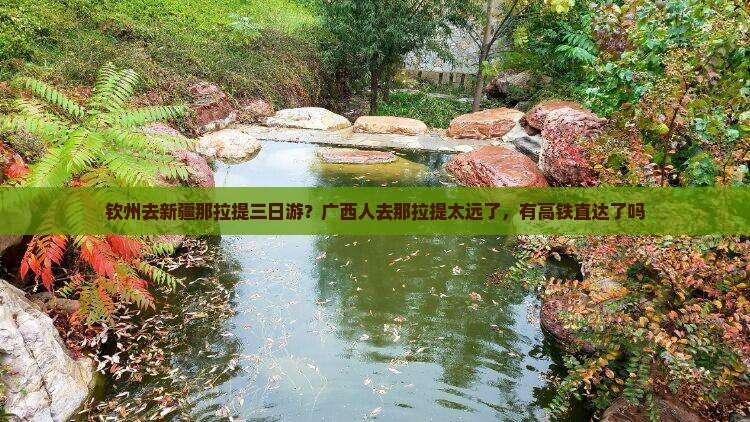 钦州去新疆那拉提三日游 钦州去新疆那拉提三日游