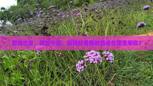 晋城到新疆吐鲁番哪里玩