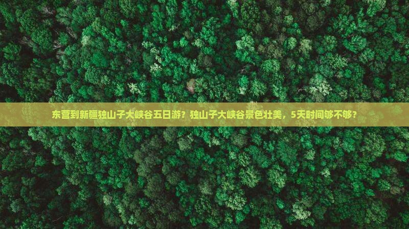 东营到新疆独山子大峡谷五日游