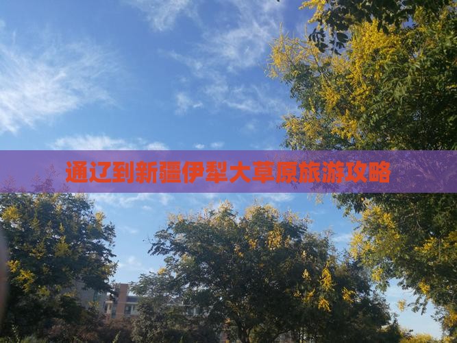 通辽市到新疆伊犁大草原个人游
