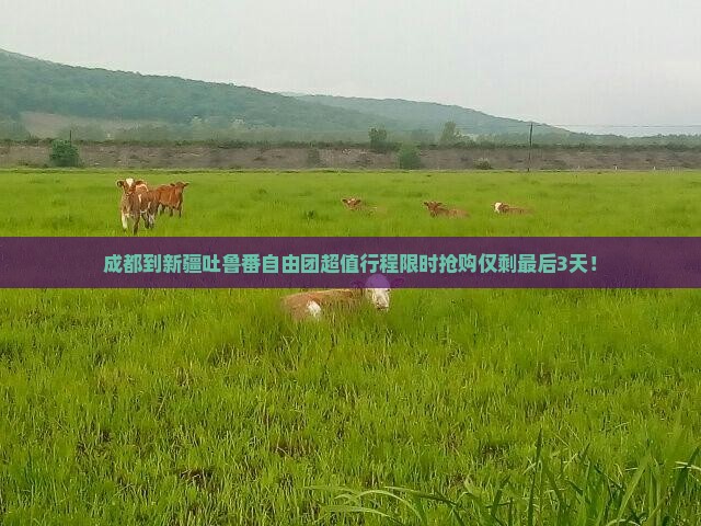 成都到新疆吐鲁番自由团