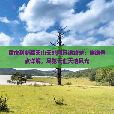 重庆到新疆天山天池四日游