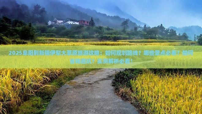 阜阳到新疆伊犁大草原旅游