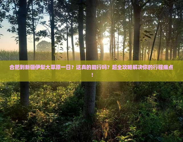 合肥到新疆伊犁大草原一日