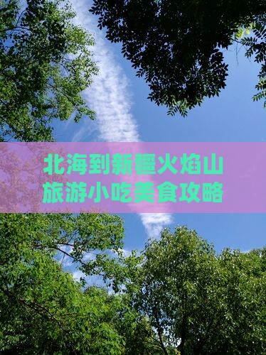 北海到新疆火焰山旅游小吃