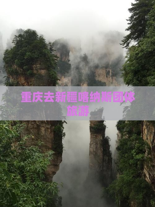 重庆去新疆喀纳斯团体旅游