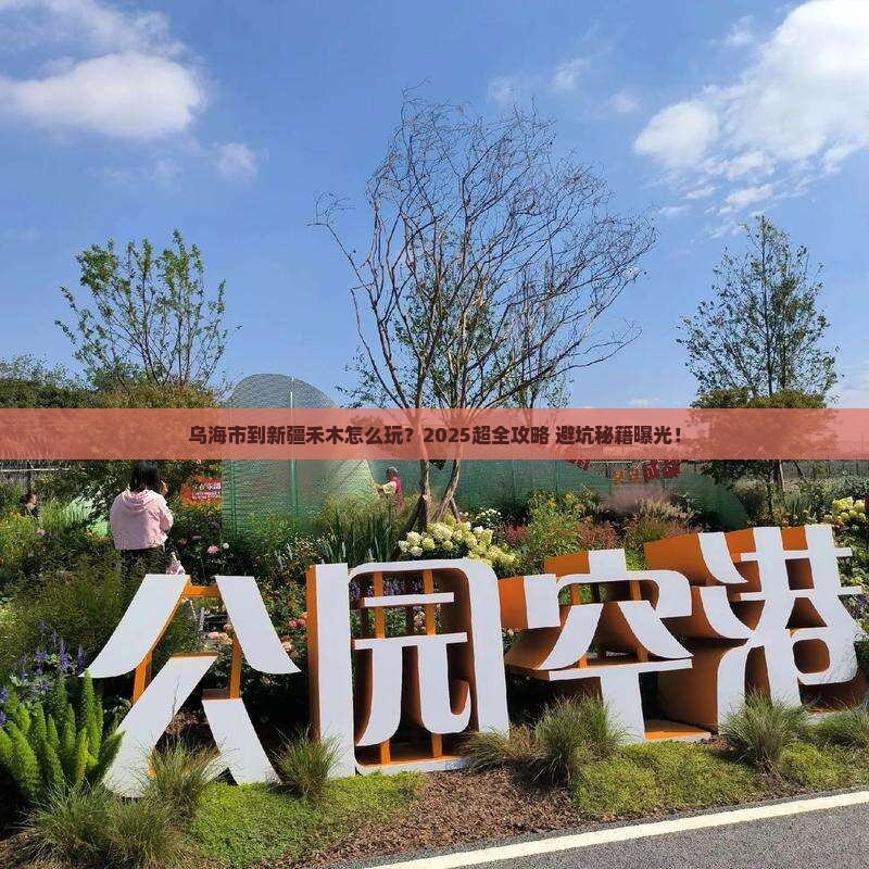乌海市到新疆禾木旅行社