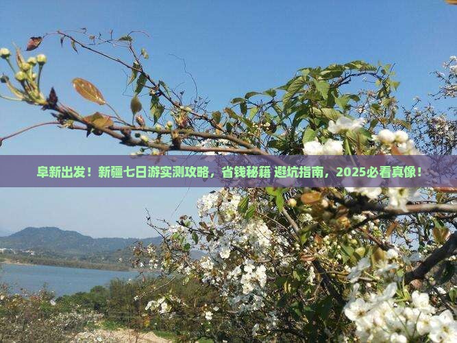 阜新去新疆七日游