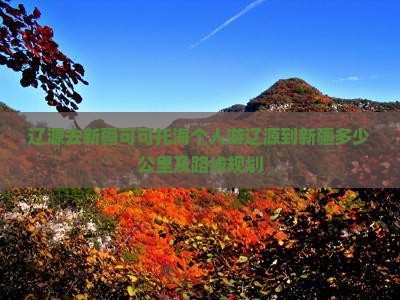 辽源去新疆可可托海个人游