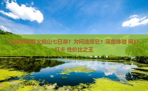 东莞到新疆火焰山七日游