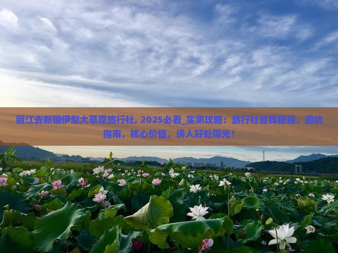 丽江去新疆伊犁大草原旅行社