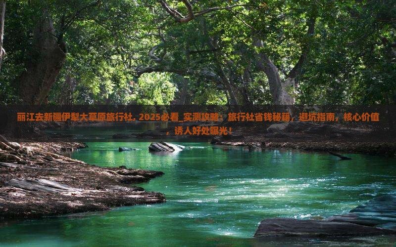 丽江去新疆伊犁大草原旅行社