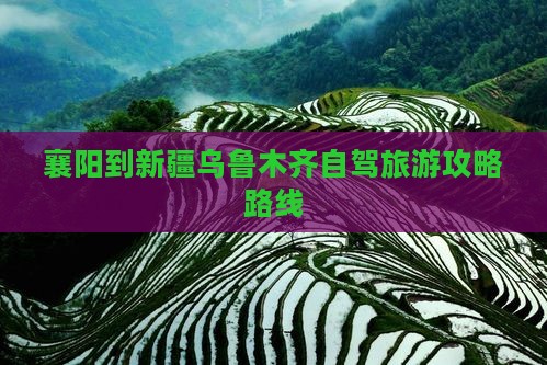 襄阳到新疆乌鲁木齐一日