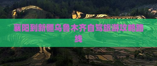 襄阳到新疆乌鲁木齐一日