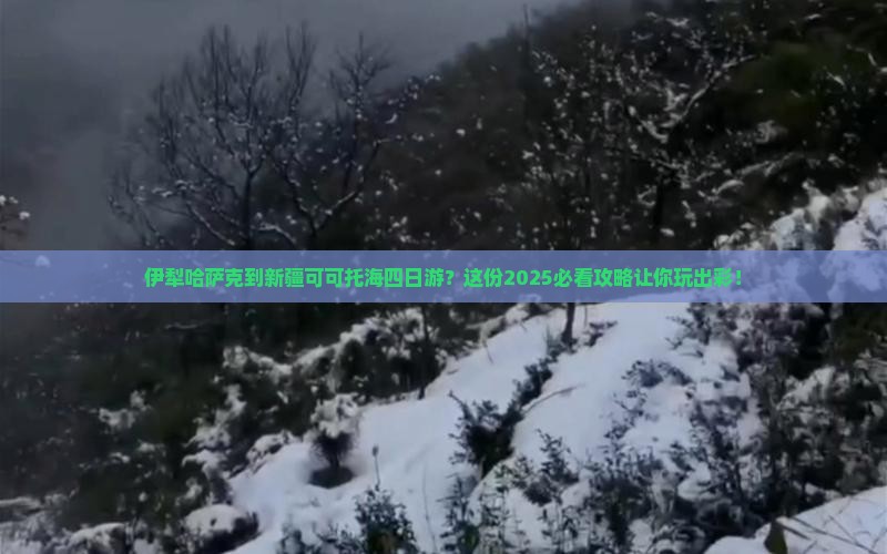 伊犁哈萨克到新疆可可托海四日游