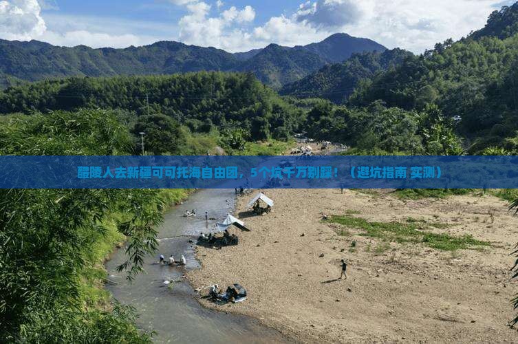 醴陵去新疆可可托海自由团