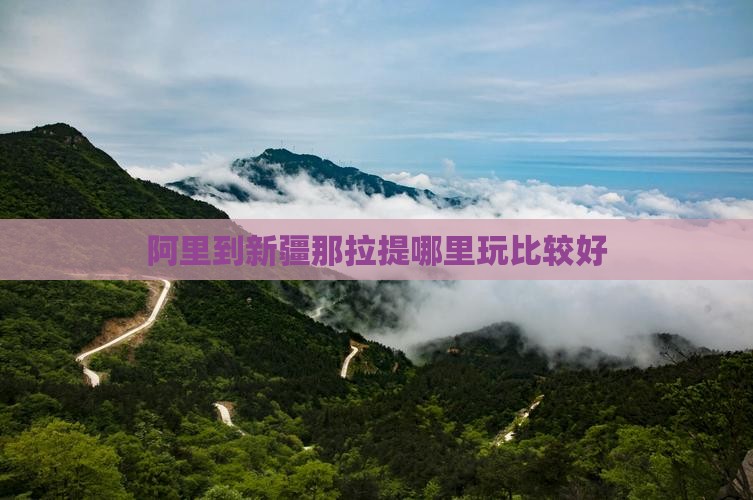 阿里到新疆那拉提哪里玩